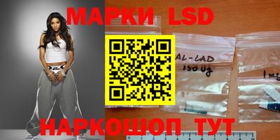 гашик Будённовск