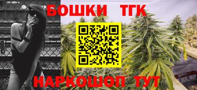 гашик Будённовск