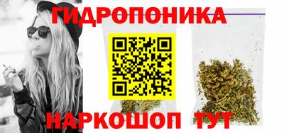 гашик Будённовск